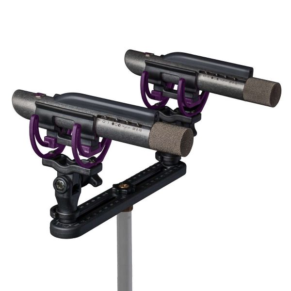 Aston-Microphones-Starlight-SP-Par-Stereo-de-Microfonos-Tipo-Lapiz-Planet-Music-Beatnik-Chile-1200x1200-1.jpg