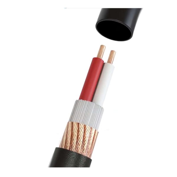 Behringer Eurolink Gold Cable de Micrófono Balanceado XLR a XLR Planet Music Behringer Eurolink Gold Cable de Micrófono Balanceado XLR a XLR Planet Music